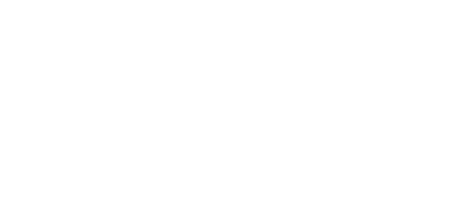 Rausch Realtors